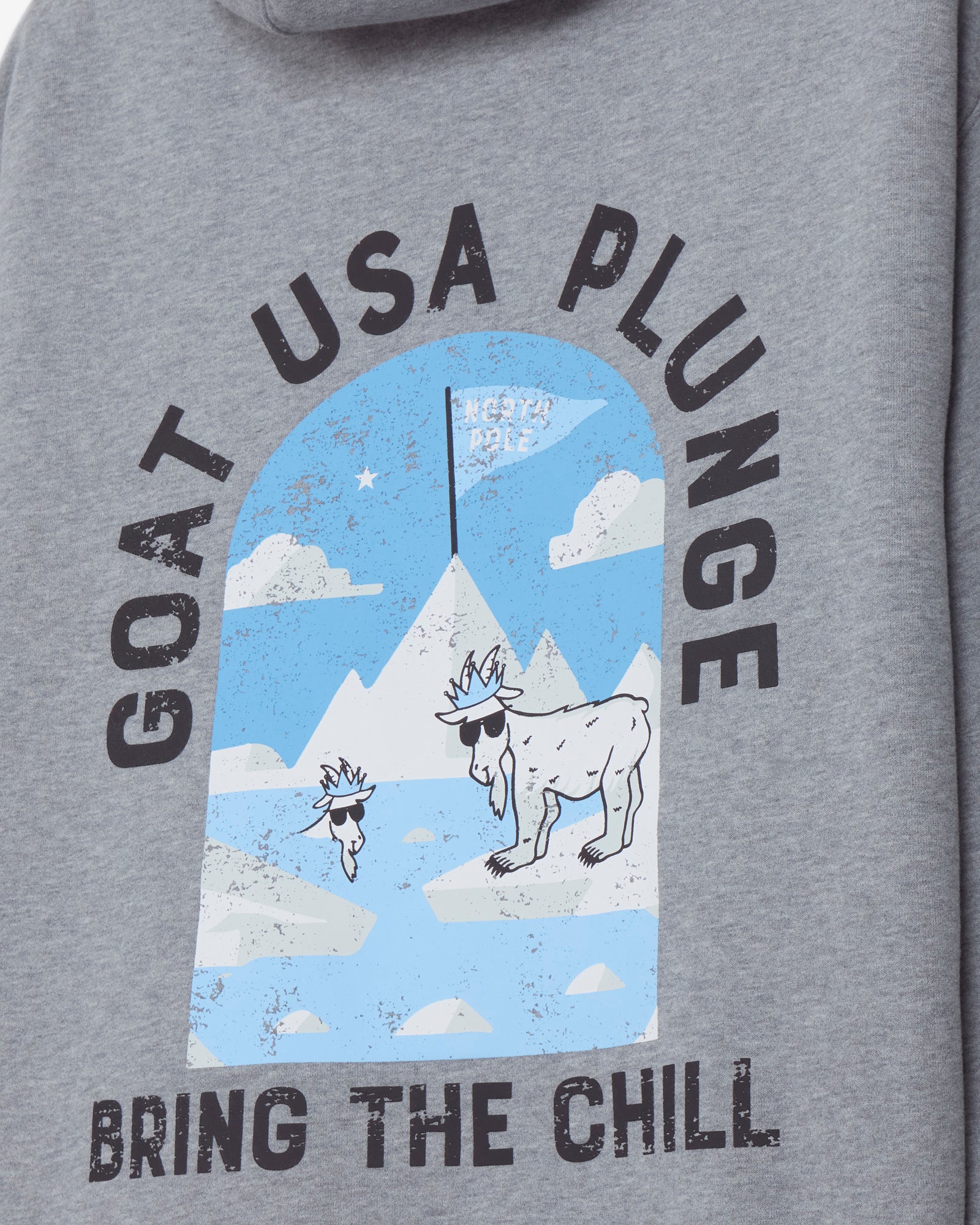 Polar Plunge Hooded Sweatshirt